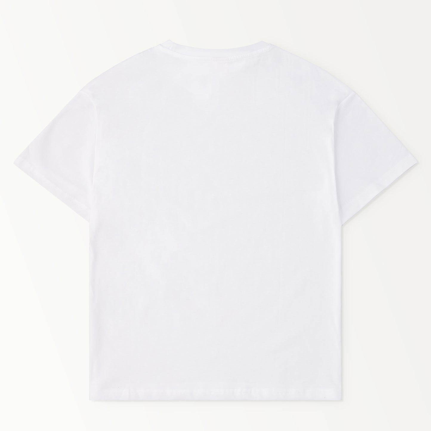 BAG-Logo-T white image