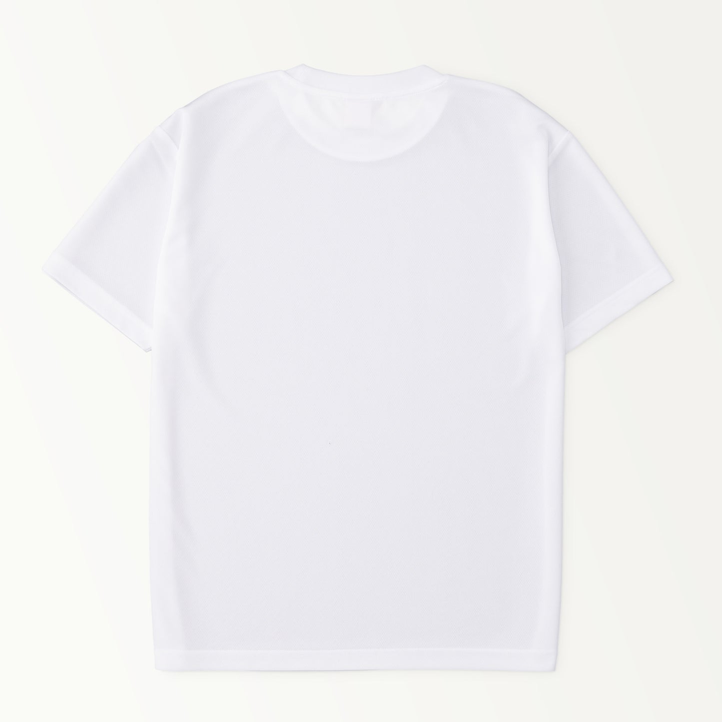 Logo-S-T white image