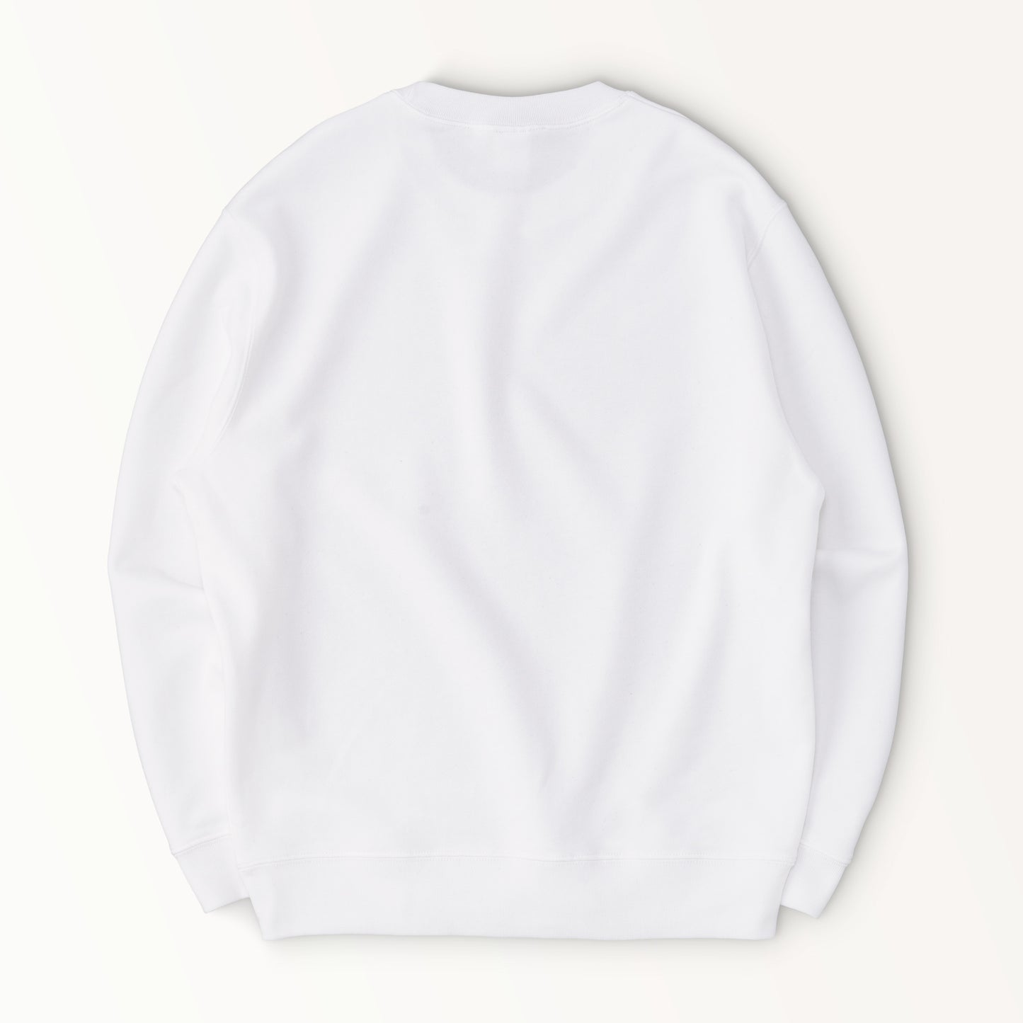 BigLogo-S white image