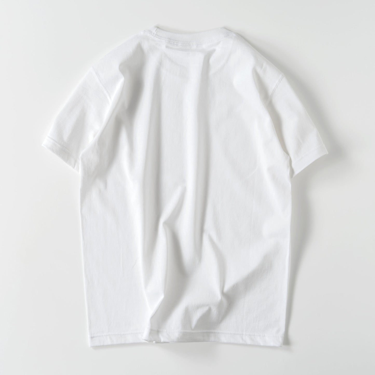 Logo-T white image