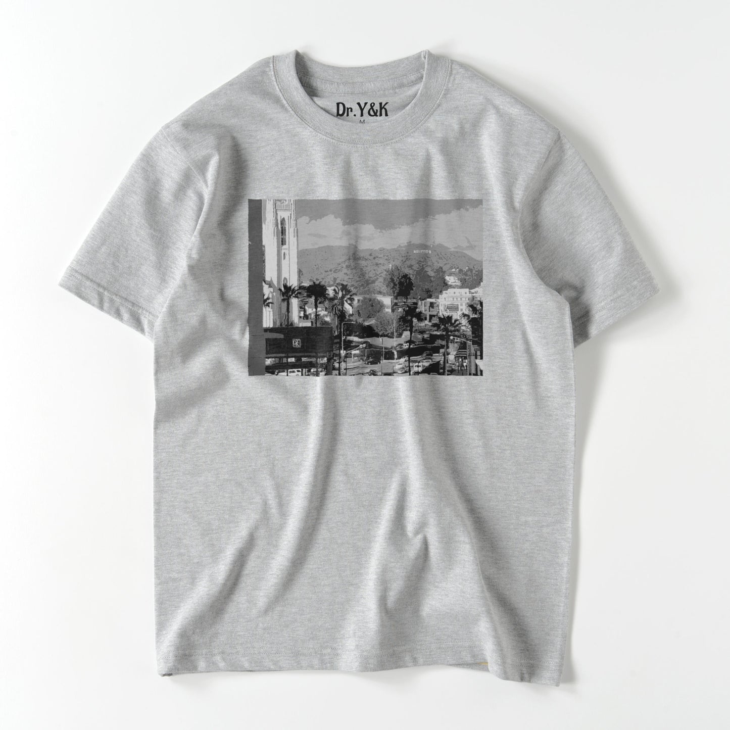 LA3-T gray image