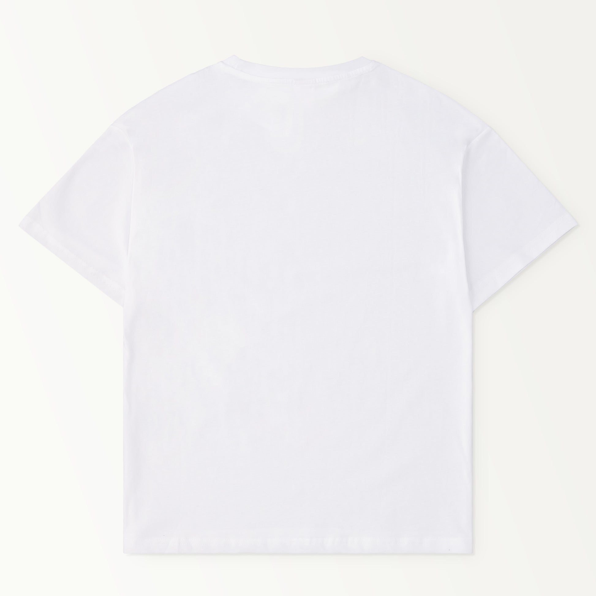BAG-Logo-T white image