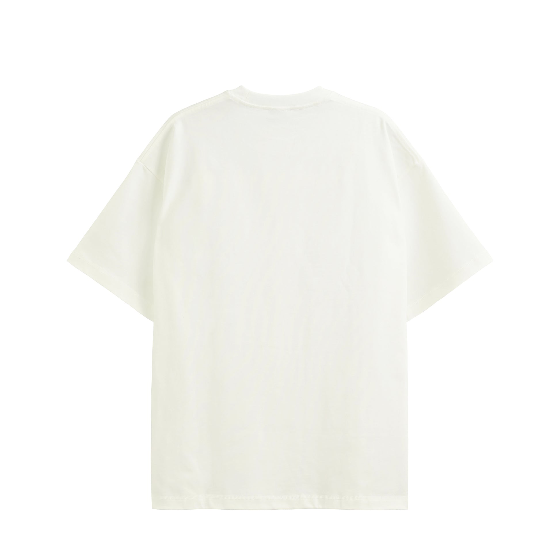 DYK-SK-D-T white image