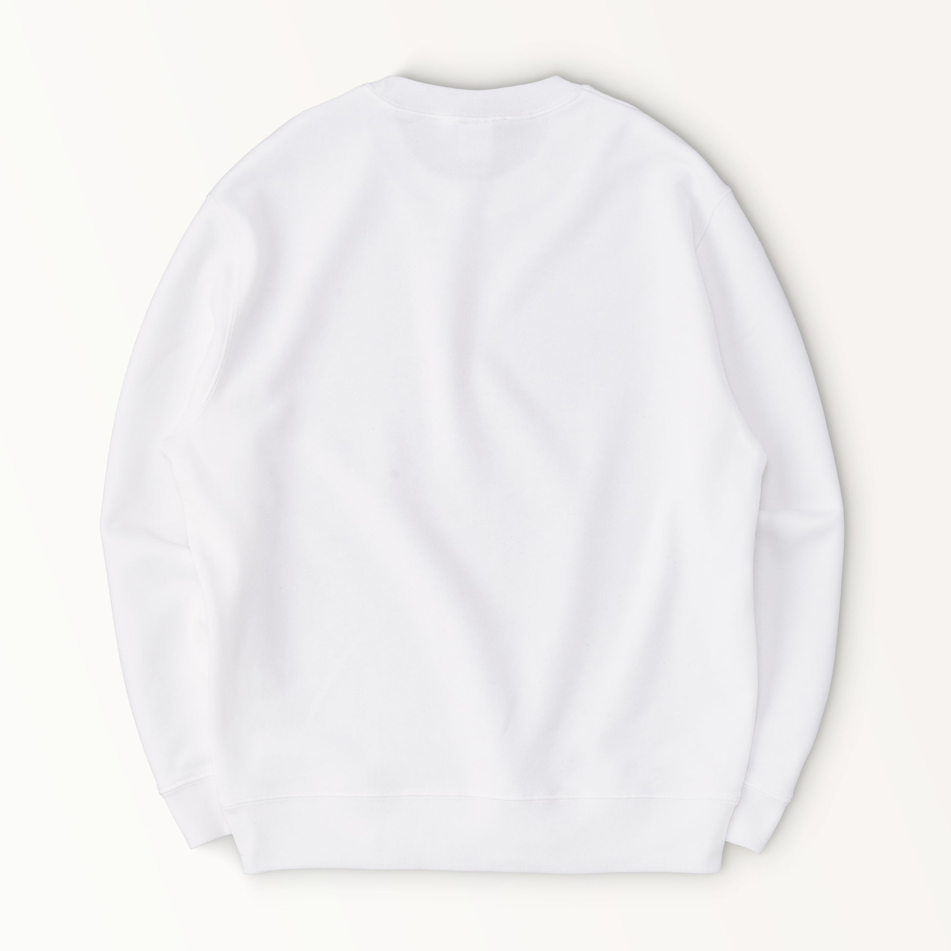 BigLogo-S white image