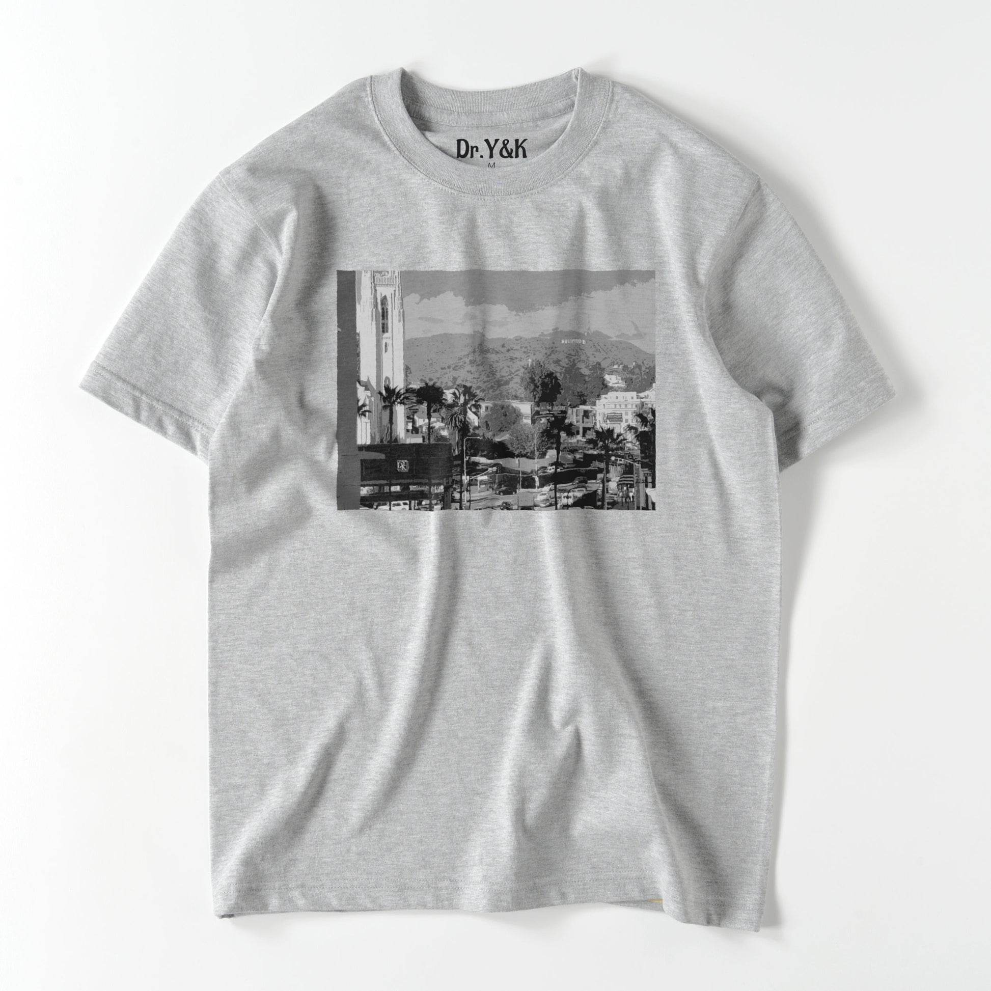 LA3-T gray image