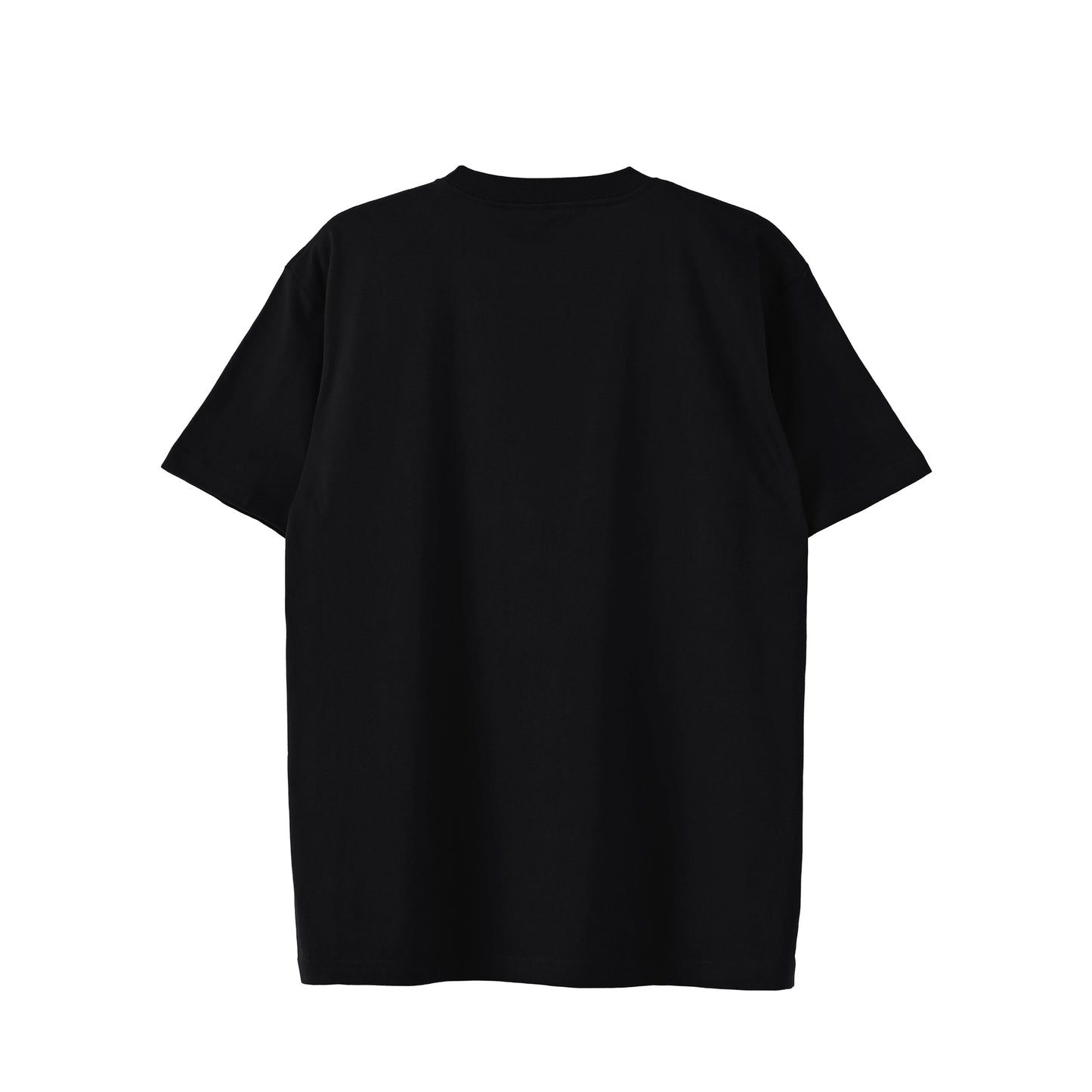 RS-FM-T black image