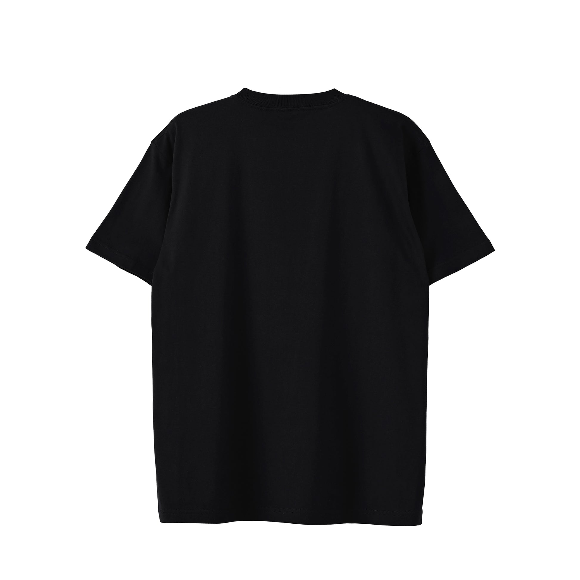 RS-FM-T black image